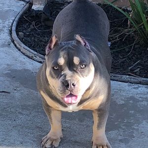 Meet your Posher, Charol